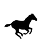 Caballo (V)